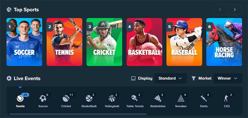 Sports Betting at Stake Casino