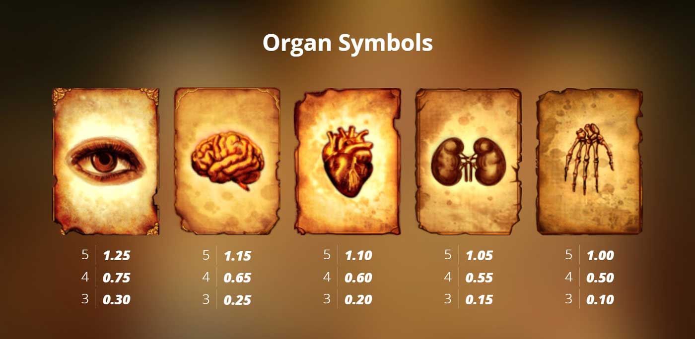 Mental Slot Symbols & Payouts